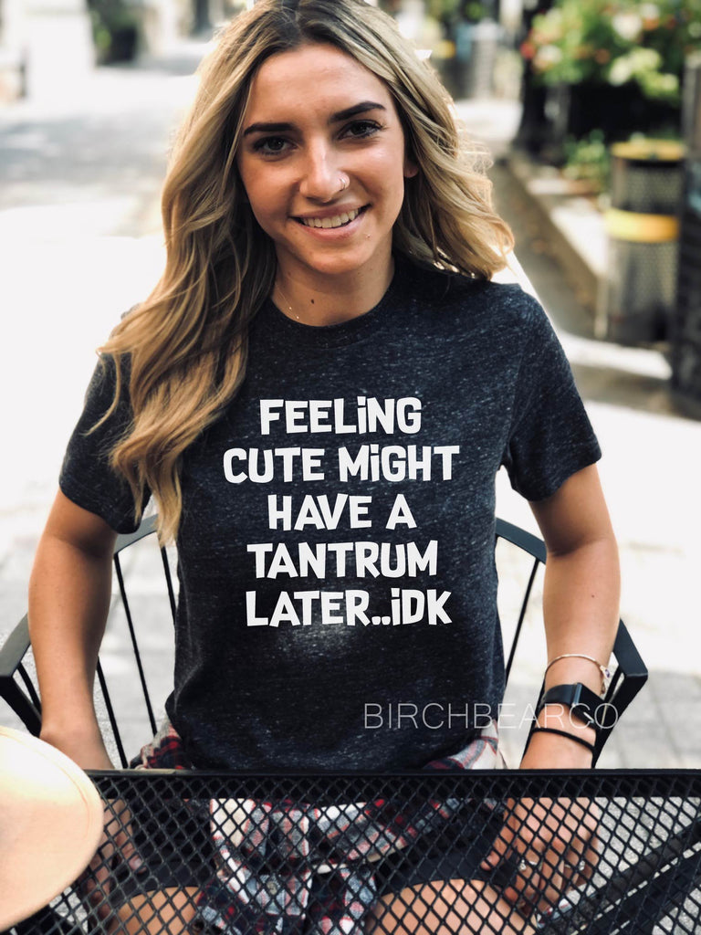 Feeling Cute Might Have A Tantrum Later IDK | Unisex T Shirt freeshipping - BirchBearCo