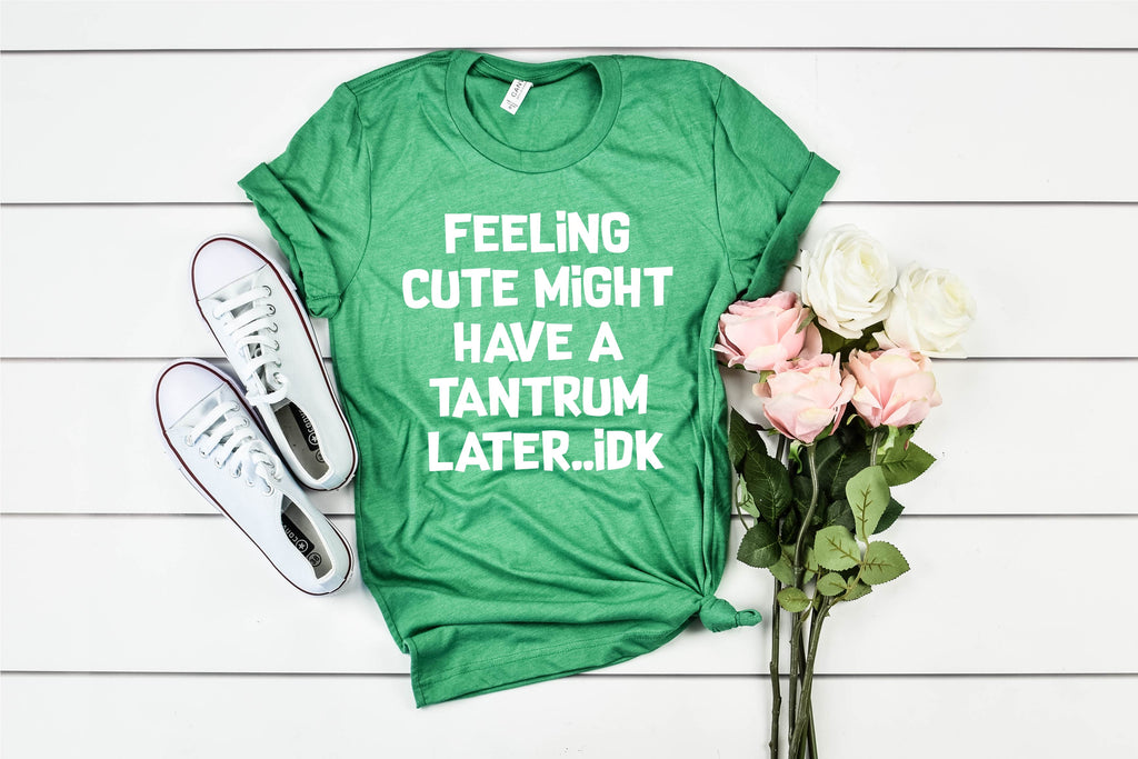 Feeling Cute Might Have A Tantrum Later IDK | Unisex T Shirt freeshipping - BirchBearCo