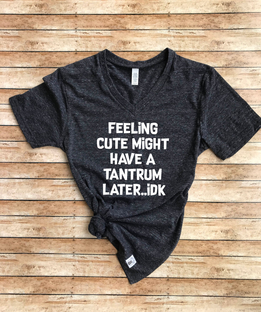 Feeling Cute Might Have A Tantrum Later IDK | Unisex V Neck freeshipping - BirchBearCo