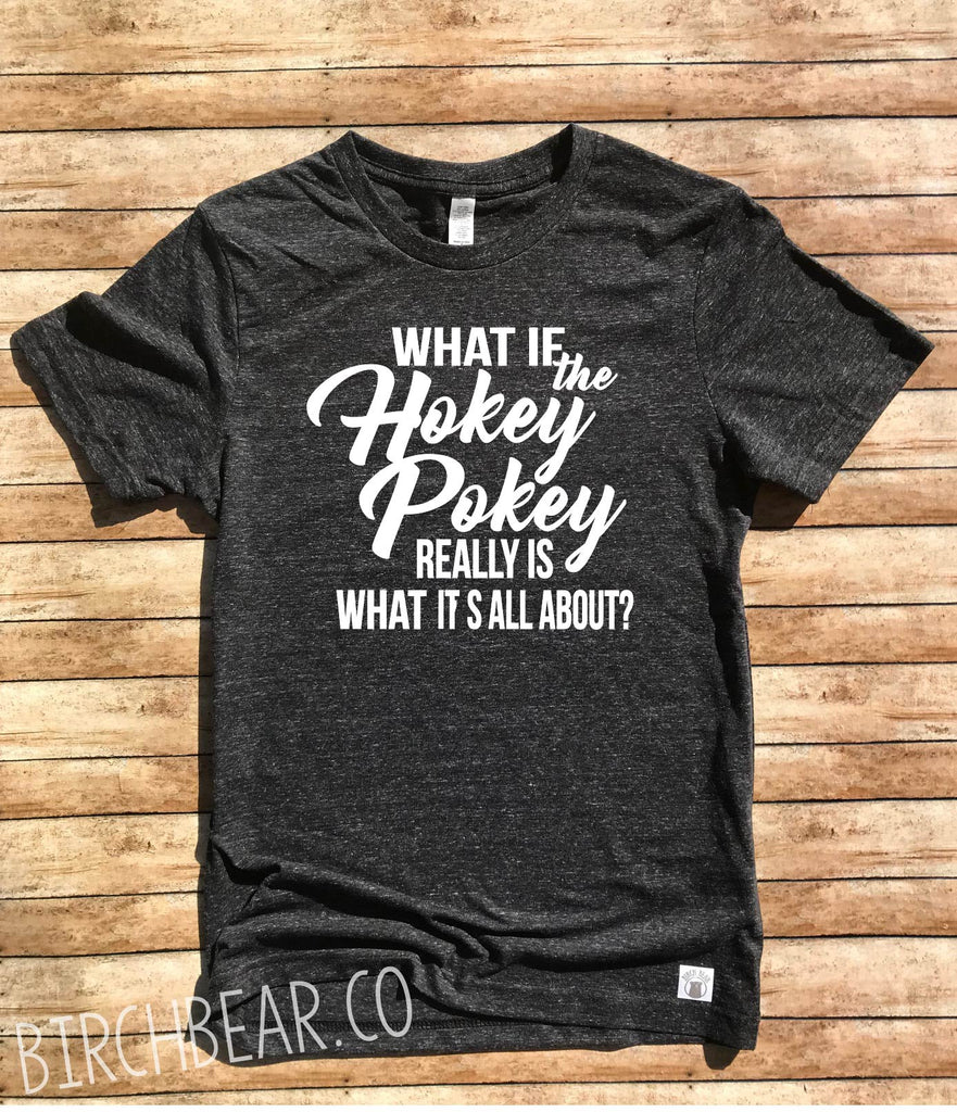 What If The Hokey Pokey Really Is What It's All About - Funny Graphic T Shirt - Funny T Shirt Unisex Tri-Blend T-Shirt freeshipping - BirchBearCo