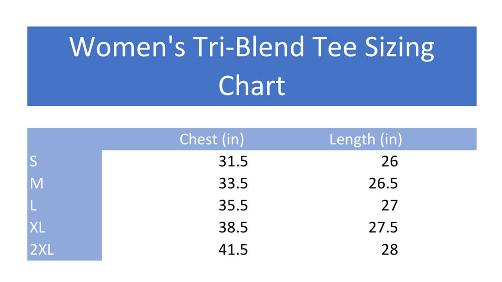Women's Form Fitting V-Neck Auntiesaurus freeshipping - BirchBearCo