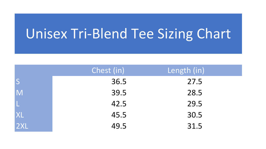 Unisex Crew Neck T Shirt - Blessed Aunt - Aunt T Shirt - Auntie Shirt - Aunt Shirt freeshipping - BirchBearCo