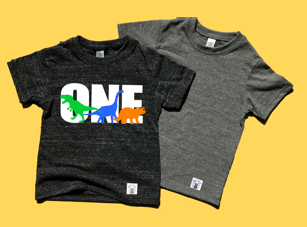 One Dinosaur Shirt | 1st Birthday Shirt | Unisex Kids freeshipping - BirchBearCo