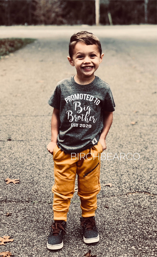 Promoted To Big Brother Shirt freeshipping - BirchBearCo