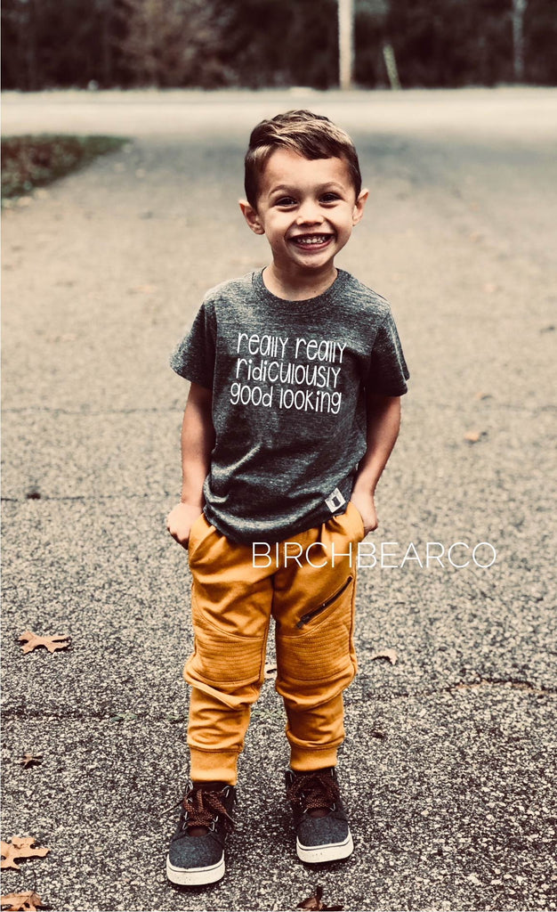 Toddler Tri-Blend Really Really Ridiciulously good Looking - Trending Toddler Shirt - Funny T shirt - Hipster Shirt freeshipping - BirchBearCo