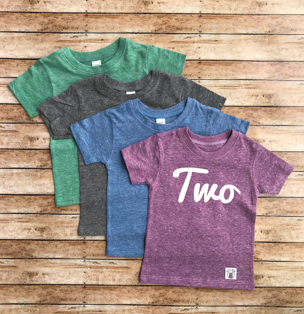 Two Birthday Shirt | 2nd Birthday Shirt freeshipping - BirchBearCo